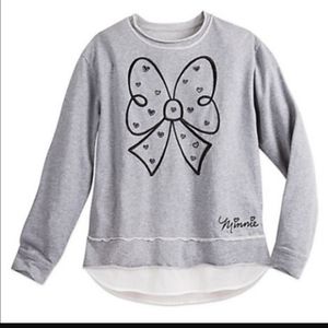 Disney Parks Sweatshirt